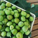 Alojamento de Acomodação e Pequeno-almoço Maison Tuscany