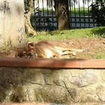 Bed & Breakfast Maison Tuscany
