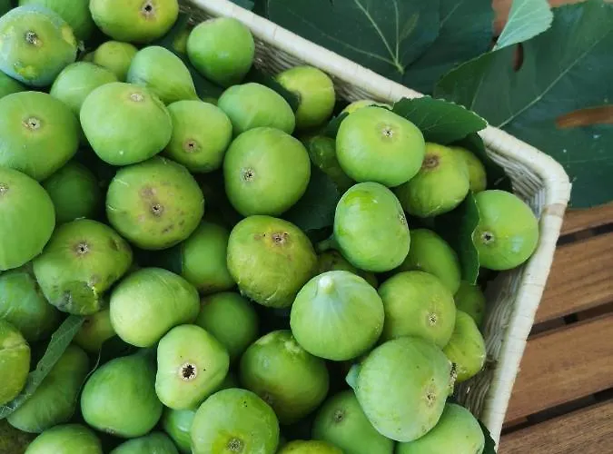 לינה וארוחת בוקר Maison Tuscany